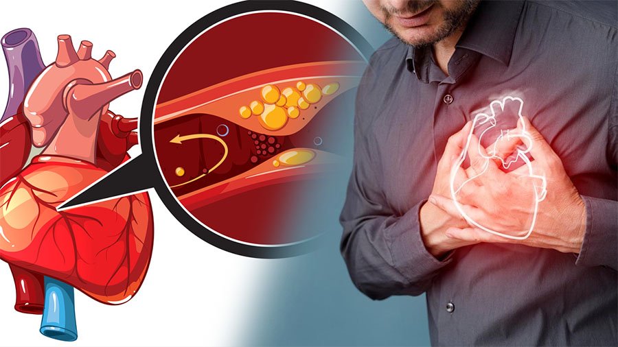 Illustration showing a human heart with medical data and statistics background