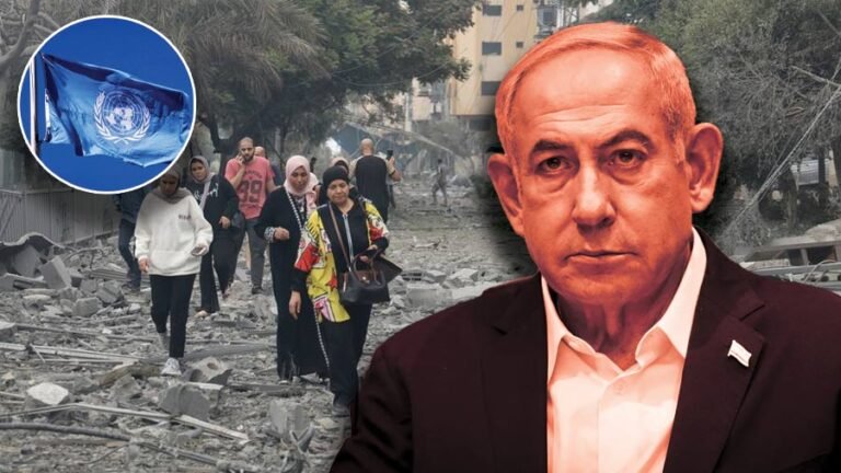 UN Human Rights Council holds press briefing on Gaza genocide report